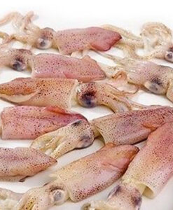 frozen squid bait